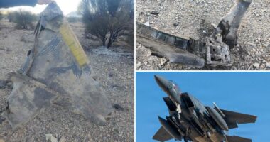 Iran claims it shot down US fighter jet â as bounty placed on pilot